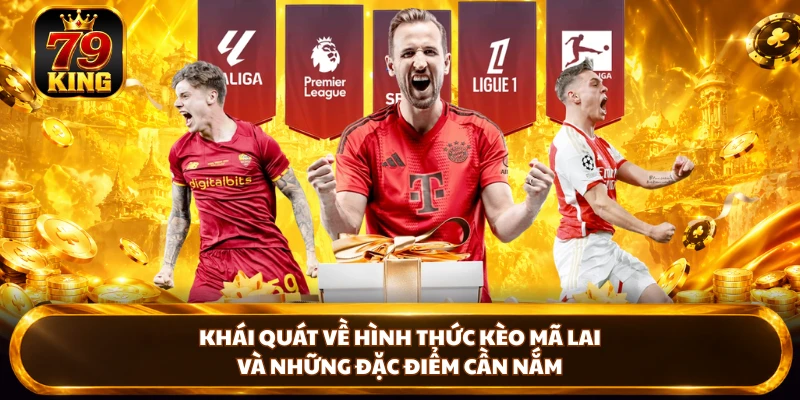 Khái quát về hình thức kèo mã lai và những đặc điểm cần nắm